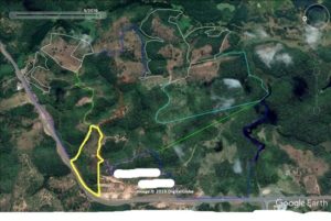 àrea contornada por linha amarela