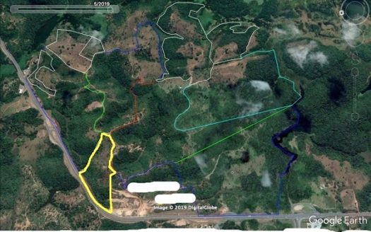 àrea contornada por linha amarela
