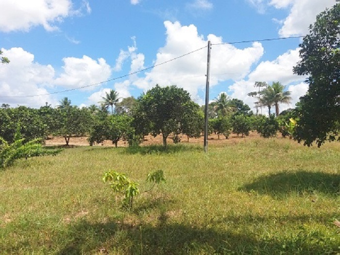 BR-110 passando por Catú-Bahia 